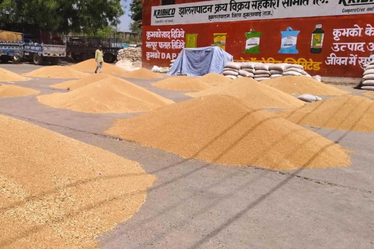 Mandi: सीजन में पहली बार सर्वाधिक दामों पर हुई गेहूं की खरीद, 14,500 रुपए प्रति क्विंटल बिका धनिया, जानें हाड़ौती के मंडी भाव