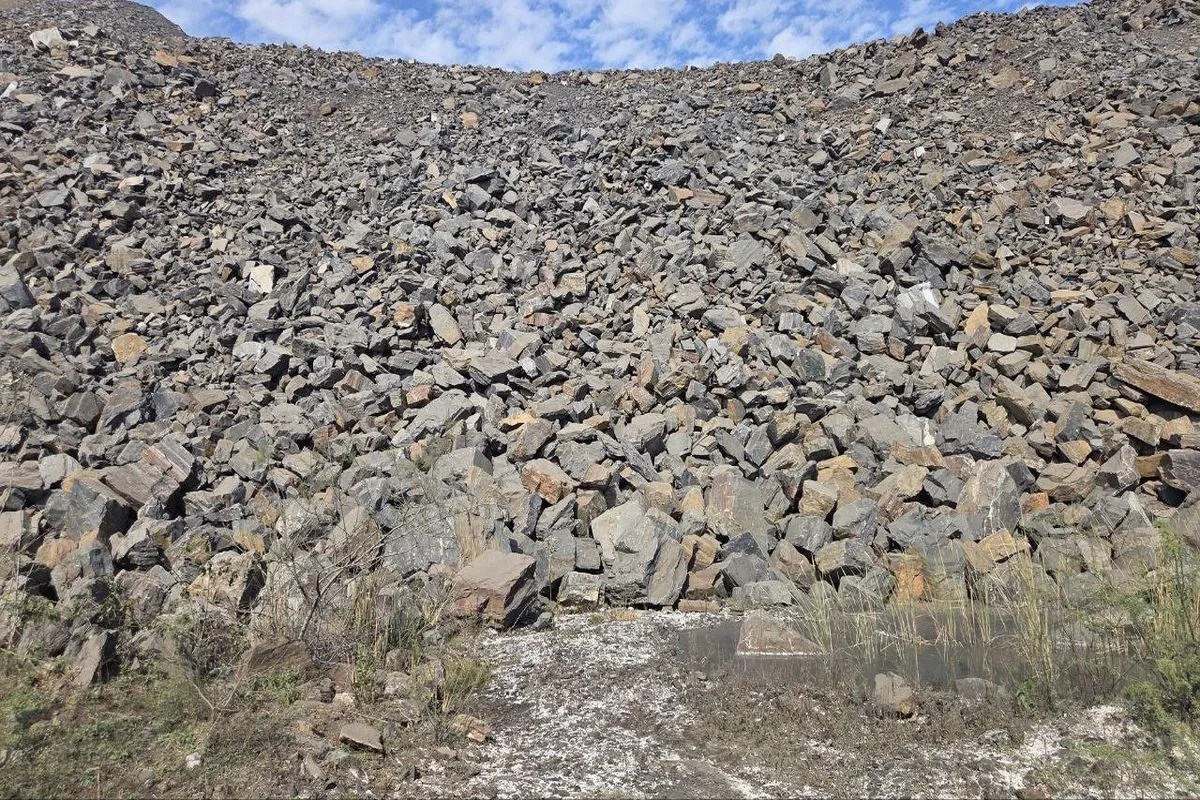 पृथ्वी दिवस विशेष: खेतों को निगल रहीं अवैध कॉलोनियां, कागजों में लहलहा रहे 45 लाख पौधे