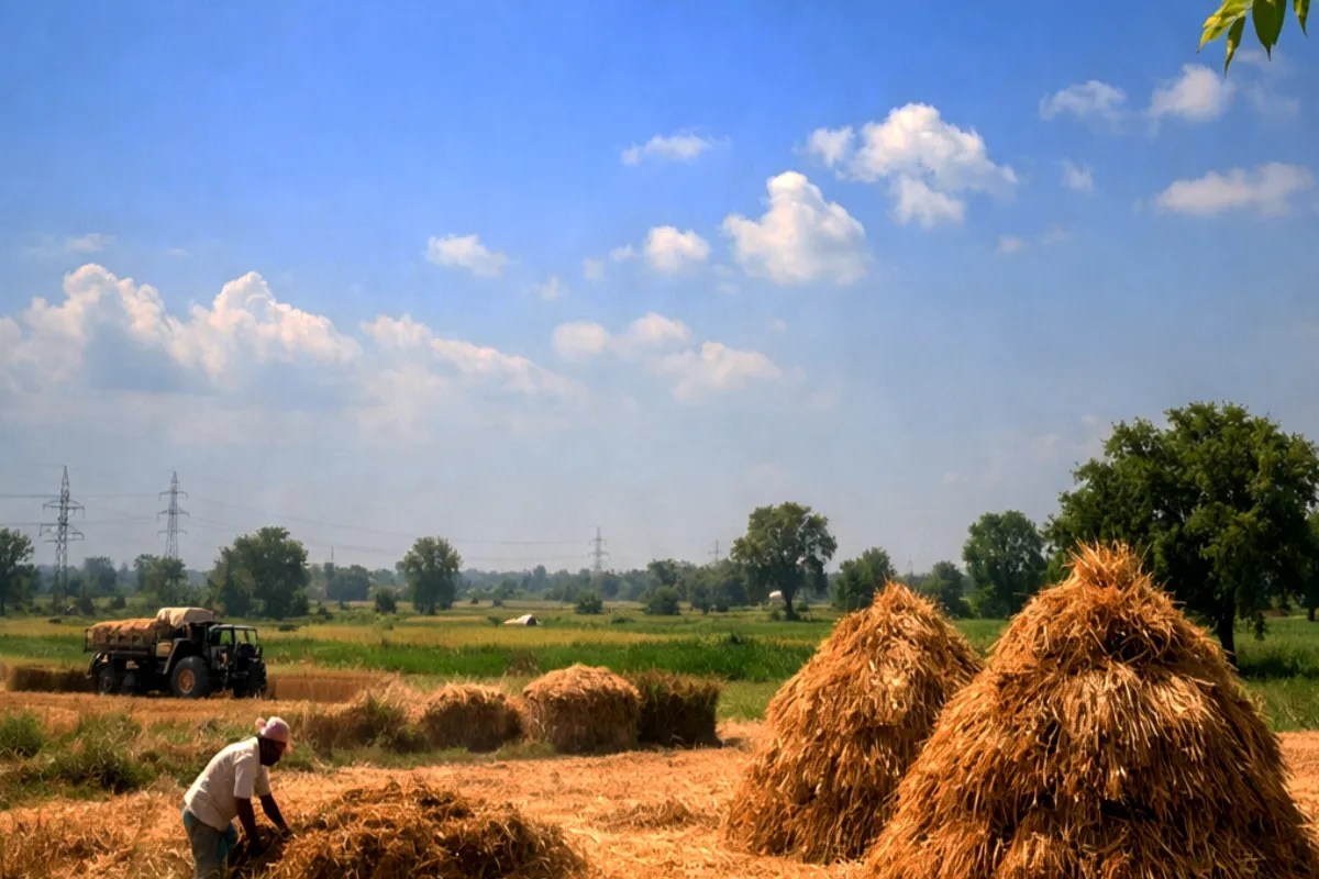 Kanpur Weather: तेज धूप से बढ़ेगी गर्मी, ठंडी हवाएं रखेंगी राहत, जानिए पूरा अपडेट