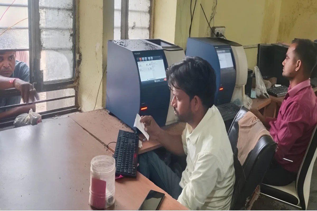 Sarso Mandi Bhav: सीड्स ऑयल लैब रिपोर्ट के आधार तय हुए सरसों के भाव, कीमत सुनकर किसानों के खिले चेहरे