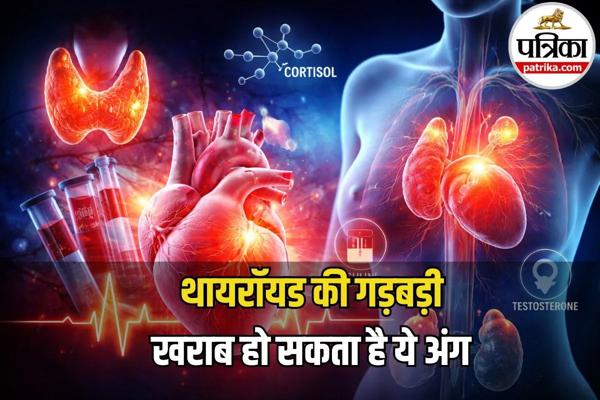 Thyroid and Heart Risk: थायरॉयड की गड़बड़ी बढ़ा सकती है हार्ट फेलियर का रिस्क, डॉक्टरों ने दी चेतावनी