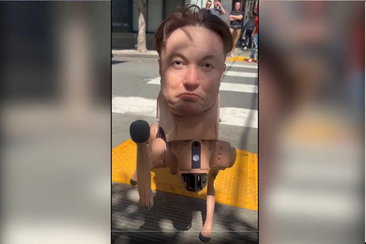 मस्क, जुकरबर्ग और बेजोस बने रोबोट डॉग, सैन फ्रांसिस्को की सड़कों पर दिखा अनोखा आर्ट, वीडियो वायरल