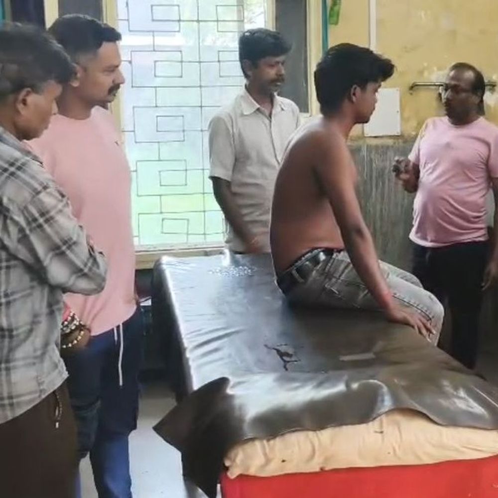 मैथन में मधुमक्खियों का हमला:सड़क पर हड़कंप; स्कूली बच्चों सहित कई घायल, एक की हालत गंभीर