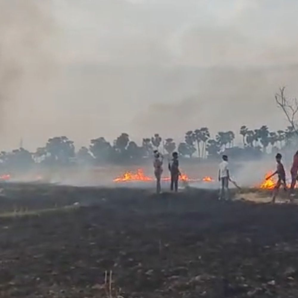 नवादा में 100 बीघा गेहूं की फसल जलकर राख:अकबरपुर के डेरमा-दरियापुर गांवों में लगी आग