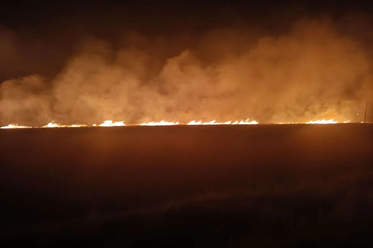 रतलाम कलेक्टर का बड़ा निर्णय, किसानों के उड़े होश