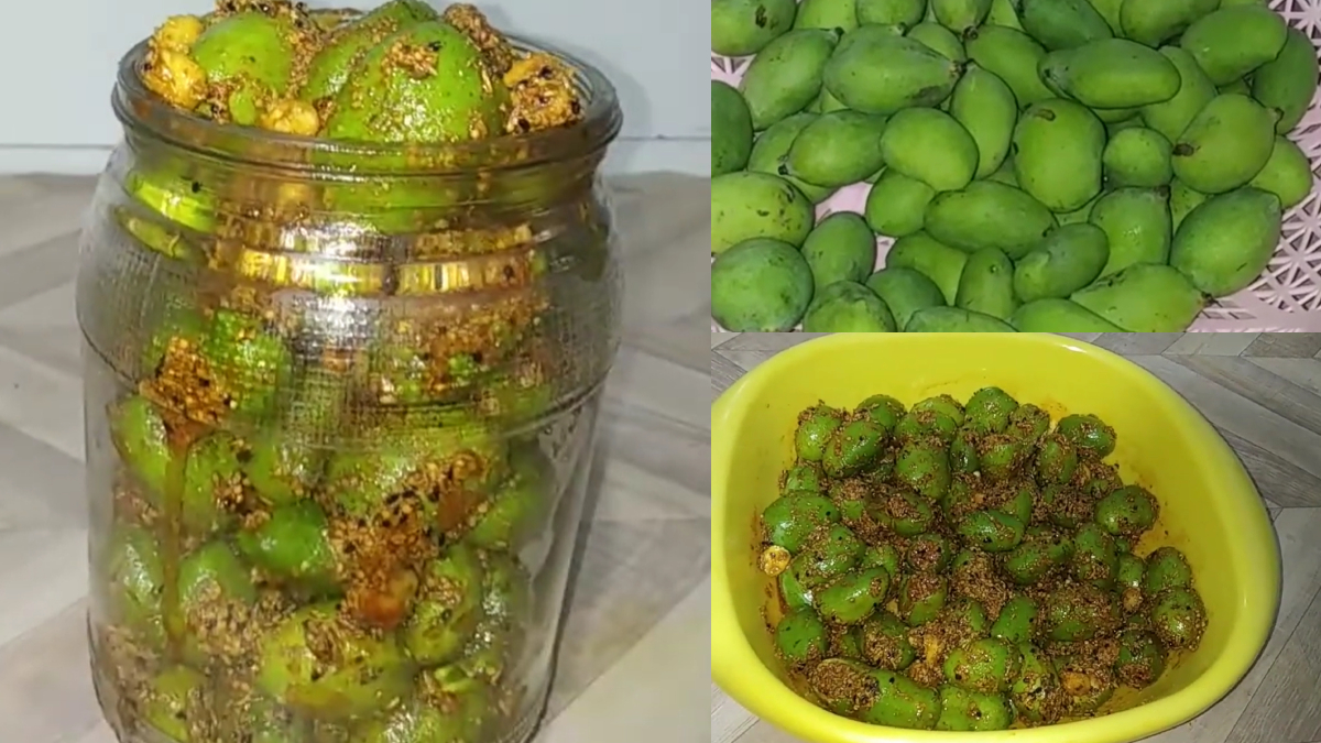 रीवा का फेमस टिकोरी अचार, धूप में पकाकर किया जाता है तैयार, फटाफट नोट कर लें कच्चे आम के अचार की रेसिपी
