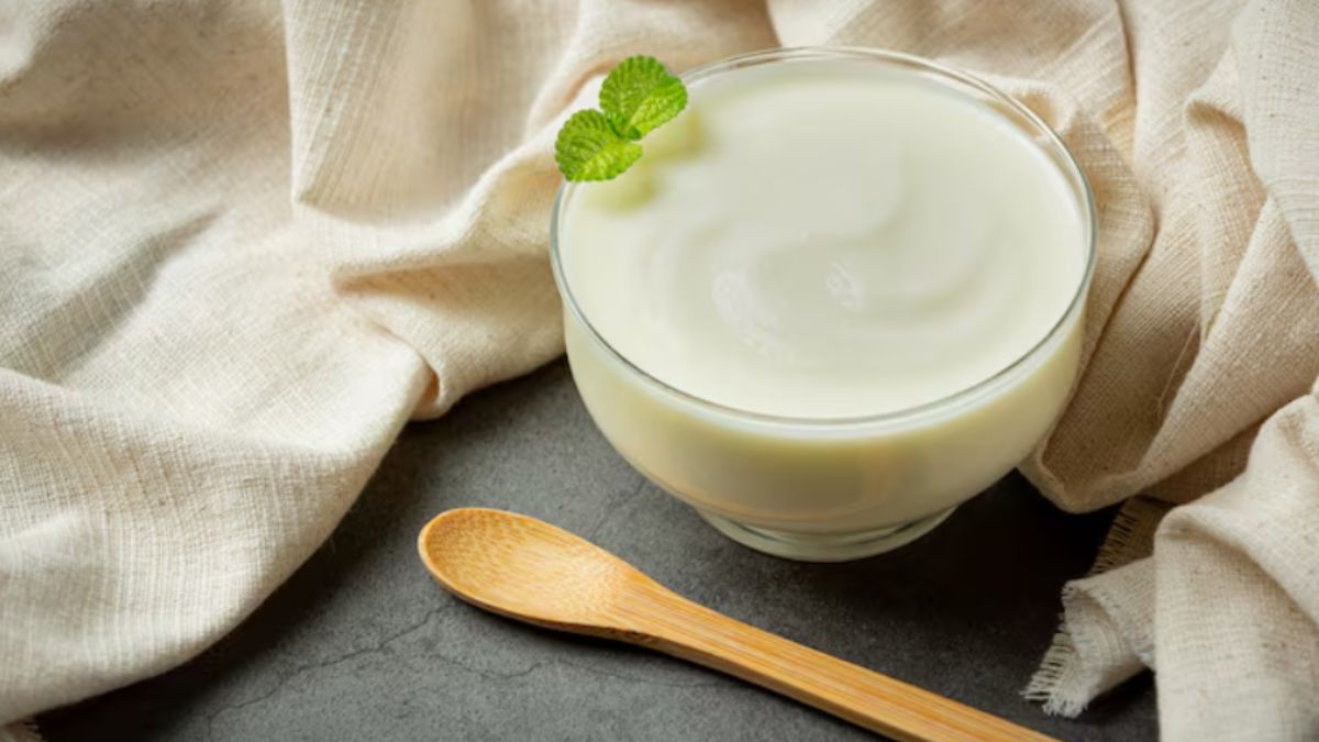 गर्मी में दही को खट्टा होने से कैसे बचाएं? इस ट्रिक से बिना फ्रिज के भी ताजा रहेगा दही, एक बार अपनाकर देखें