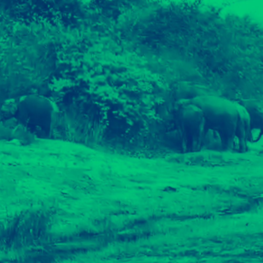 हाथियों के झुंड ने मचाया उत्पात, घर तोड़ा, ग्रामीणों ने सड़क जाम कर जताया आक्रोश