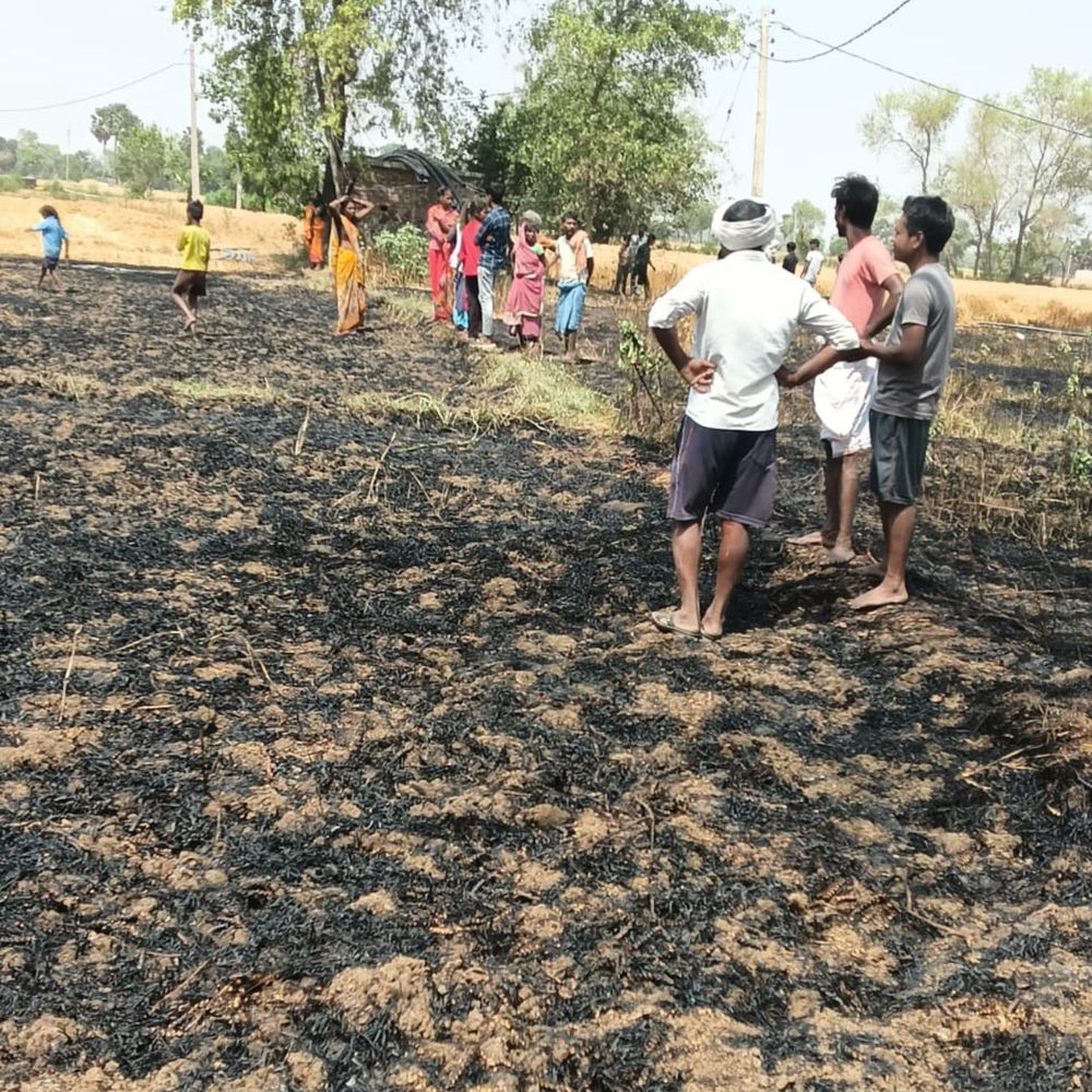 गेहूं की फसल में आग, साढ़े चार बीघा जलकर राख