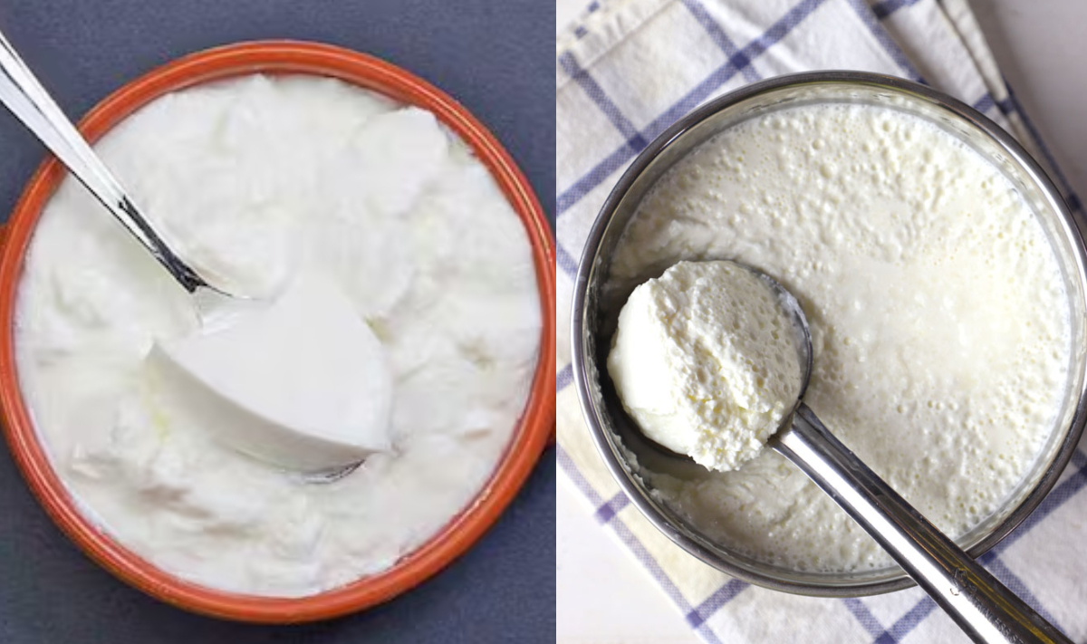 दही जमाने के लिए गर्मियों में कौन सा बर्तन बेस्ट होता है, इस ट्रिक को अपनाएं, बिल्कुल भी खट्टा नहीं जमेगा