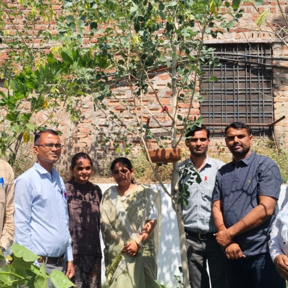 भीषण गर्मी में नाहरगंज स्कूल में लगाया परिंडा:पक्षियों के लिए की दाना-पानी की व्यवस्था, बच्चों को दिया संदेश