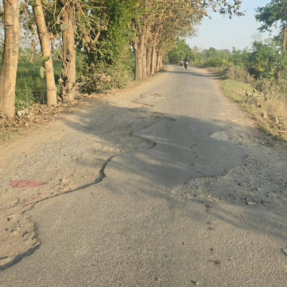 लखीमपुर खीरी में सिंगाही-नौरंगाबाद सड़क जर्जर:दर्जनों गांवों के लोग परेशान, मरम्मत की मांग