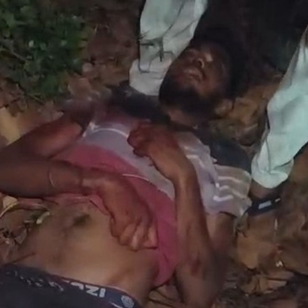 अज्ञात वाहन की टक्कर से 2 की मौत:वाड्रफनगर में 1 की हालत गंभीर; पुलिस फरार चालक की तलाश में जुटी