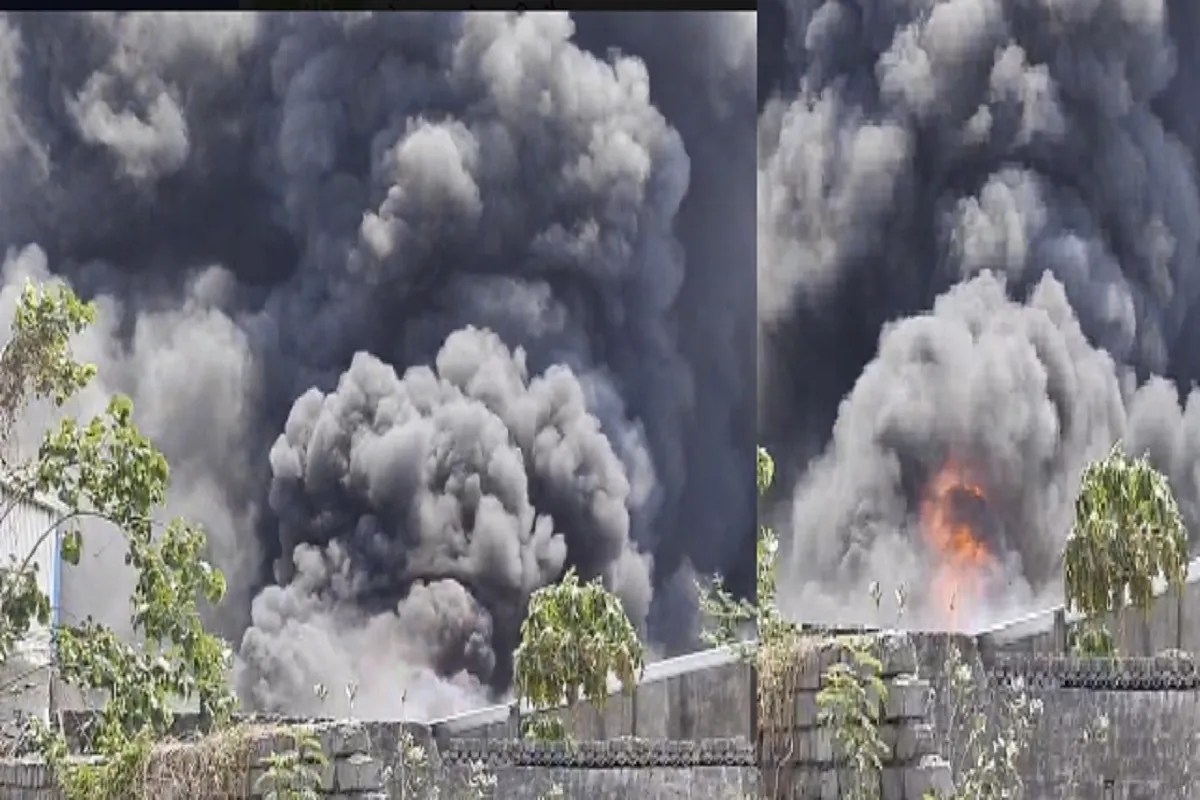 Raipur News: सड्डू प्लास्टिक फैक्ट्री में लगी भीषण आग, मौके पर पहुंची दमकल की टीम