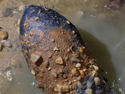 जमशेदपुर में नदी‎ किनारे मिला एक और मिसाइल:ग्रामीणों के बीच दहशत, 22 दिन पहले 227 किलो का बम यहीं किया गया था डिफ्यूज