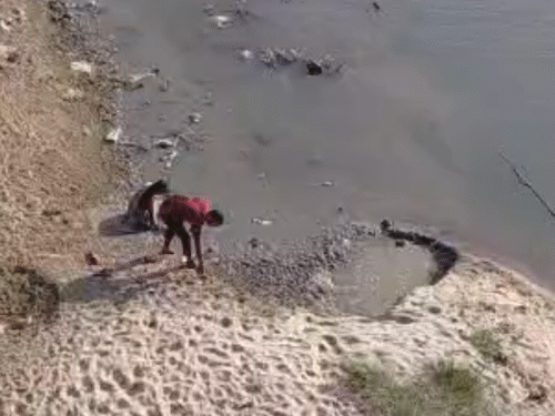 बॉयफ्रेंड से हॉट-टॉक, ब्रिज से नदी में कूदी गर्लफ्रेंड:फोन पर बोली- ‘सारी फसाद की जड़ हूं, तुम्हारी जिंदगी से चली जाती हूं’; ड्राइवर ने बचाई जान