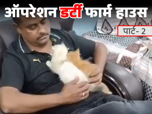 स्वीमिंग पुल में नहाती लड़कियों को देखता था JDU नेता:पीड़ित बोली- पुलिस-VIP गेस्ट भी आते; एजेंट्स से नॉर्थ ईस्ट की लड़कियां मंगवाता