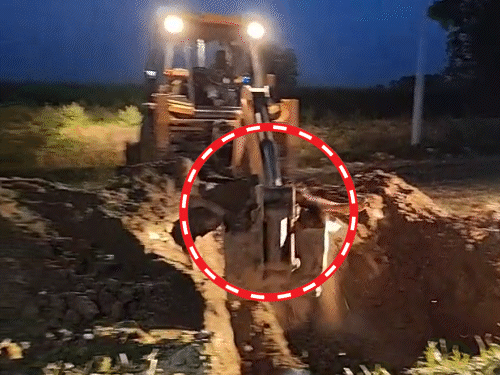 भागलपुर में नाबालिग की हत्या कर शव को दफनाया:जेसीबी से पुलिस ने निकलवाई लाश; गले में दुपट्टा लपेटा हुआ था‎, ऑनर किलिंग‎ की आशंका