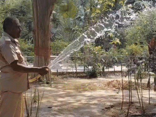 पटना जू में जानवरों के लिए लगे 17 कूलर-11 एसी:चिपांजी पी रहा नारियल पानी, ग्लूकोज-मल्टीविटामीन और लू से बचने की दवाइयां भी दी जा रहीं