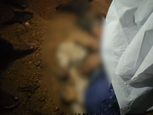 लातेहार में ट्रक ने ली युवकों की जान:बाइक में कोयला लदे ट्रक ने मारी सीधी टक्कर, मौके पर ही मौत, लोगों ने किया सड़क जाम