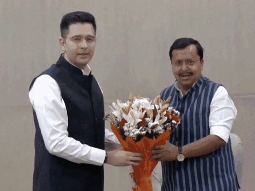 AAP के राज्यसभा सांसद राघव चड्ढा भाजपा में:कहा- 10 में से 7 सांसद साथ, अशोक मित्तल ने ED छापे के 10वें दिन भाजपा जॉइन की