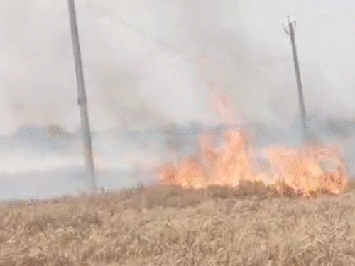 बेगूसराय में ट्रांसफार्मर की चिंगारी से लगी आग:35 बीघा गेहूं की फसल जलकर राख; बिजली विभाग पर लापरवाही का आरोप