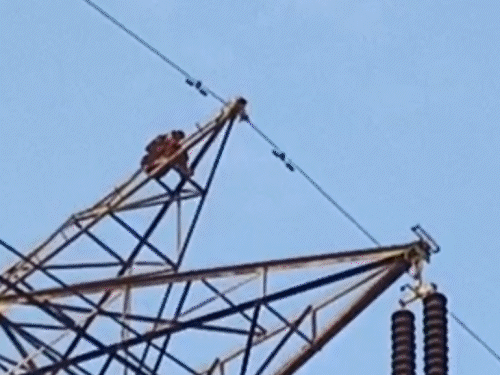 बॉयफ्रेंड के लिए हाइटेंशन टावर पर चढ़ी लड़की:100 पुलिसकर्मी उतारने में लगे, दरोगा बोले- जो कहोगी वो करूंगा, उसी लड़के से शादी करवाऊंगा