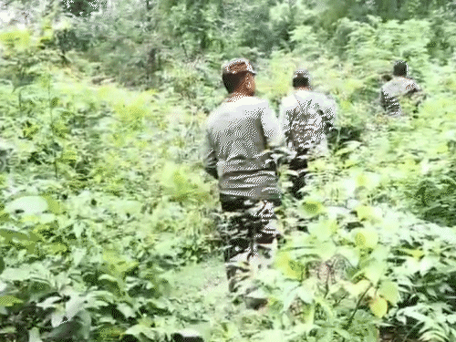 सारंडा जंगल में पुलिस और नक्सलियों के बीच मुठभेड़:मिसिर बेसरा दस्ते से भिड़ंत, सुरक्षाबलों का बड़ा ऑपरेशन जारी