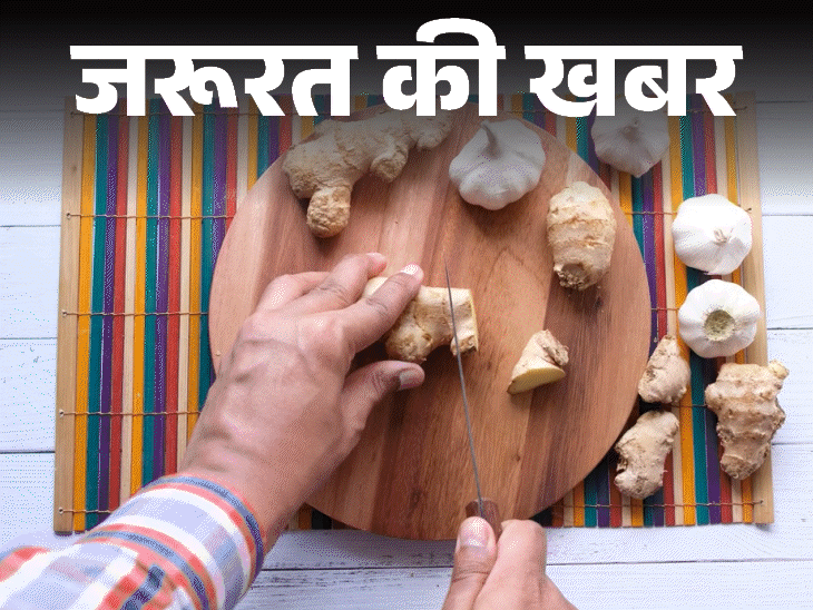 जरूरत की खबर- 4000 किलो मिलावटी जिंजर-गार्लिक पेस्ट जब्त:5 तरीकों से करें शुद्ध और मिलावटी की पहचान, जानें बनाने का आसान तरीका