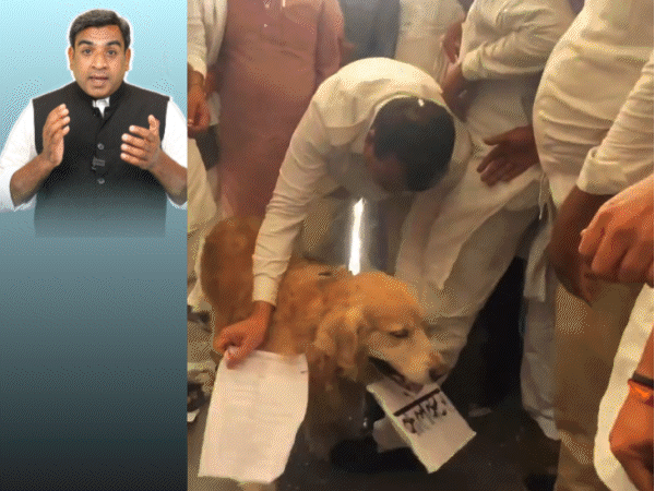 कुत्ते को बनाया कलेक्टर, गले में बांधा ज्ञापन:कांग्रेस नेता ने शिवराज को कहा पागल; विधायक ने दिखाया सनी देओल स्टाइल