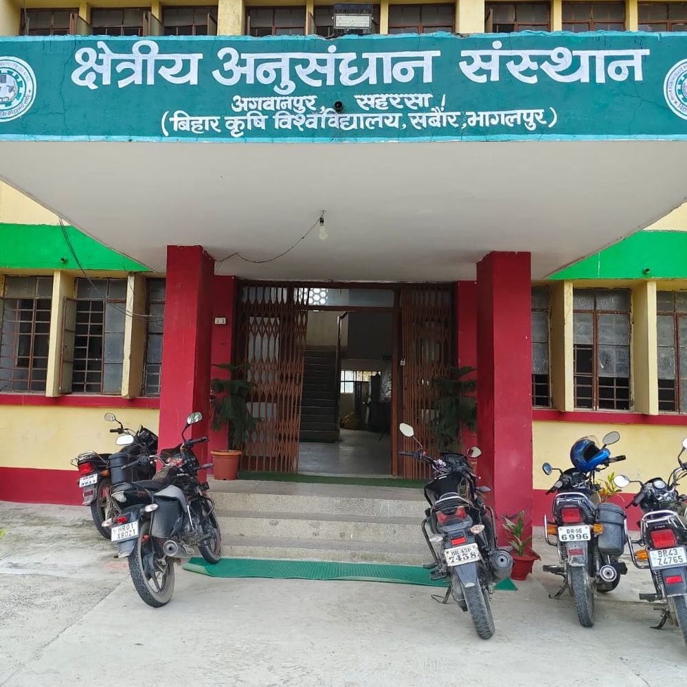 सहरसा में 5 दिन साफ रहेगा मौसम:किसानों को गेहूं कटाई तेज करने की सलाह