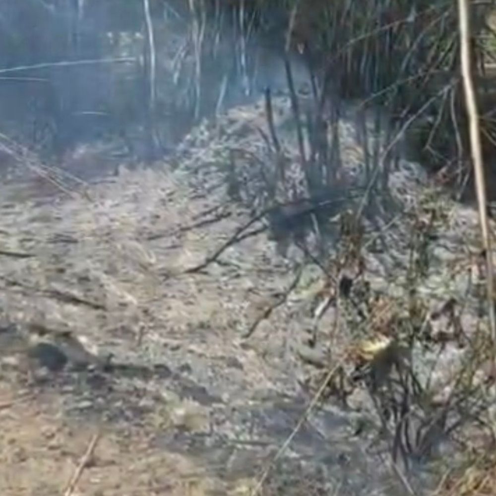 अज्ञात कारणों से बांस की कोठ में लगी आग:3 घंटे बाद काबू पाया गया, फायर ब्रिगेड न पहुंचने पर ग्रामीणों में नाराजगी