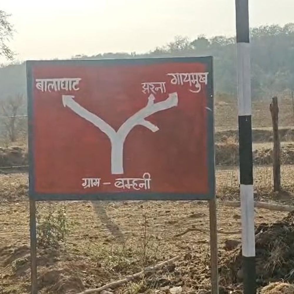 केंद्र सरकार ने बालाघाट बॉक्साइट खनन पर रोक लगाई:वन्यजीवों की सुरक्षा, पौधारोपण पर मांगी रिपोर्ट; 16 से अधिक पेड़ काटे जाने