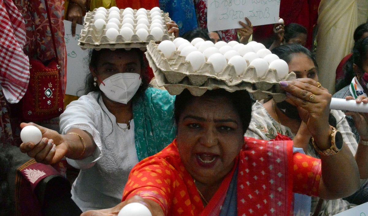 UP में Egg पर Expiry Date का New Rule लागू, नियम न मानने पर नष्ट होंगे अंडे, जानें पूरी गाइडलाइन