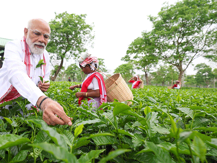 पीएम मोदी ने असम के चाय बगान में पत्ती तोड़ी:महिला कामगारों के साथ सेल्फी ली; केरलम में राहुल ने बस में सफर किया…PHOTOS