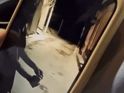 मोहाली में पाकिस्तानी गैंगस्टर समेत 2 के खिलाफ चालान:यूट्यूबर के घर ग्रेनेड हमला,10 आरोपी गिरफ्तार, 7 अभी फरार,2025 में NIA को जांच