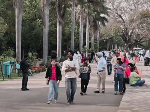 पंजाब और चंडीगढ़ में भीषण गर्मी:आज हीट वेव व वार्म नाइट का यलो अलर्ट, कल से बारिश और आंधी की संभावना