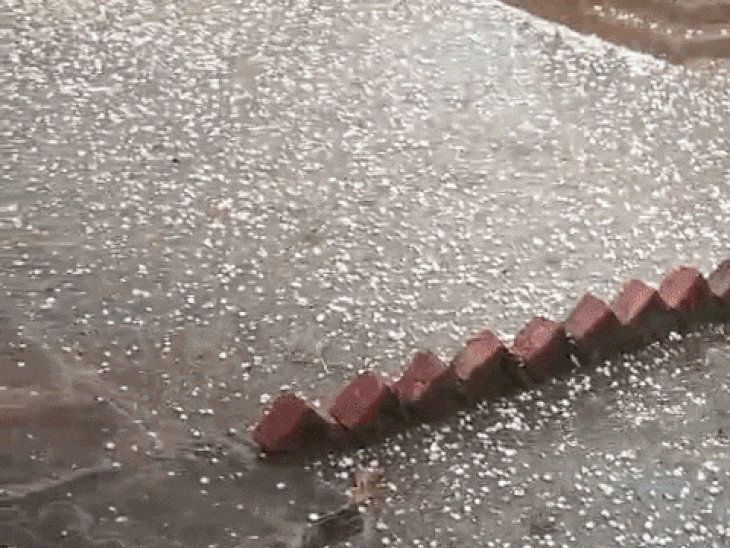 रीवा के त्योंथर में ओलावृष्टि से फसलें बर्बाद:बरेठी-कोराव सहित कई गांवों में गेहूं-चना-सारसों को नुकसान