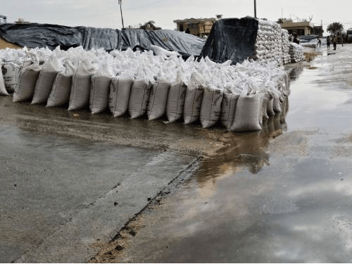 सिरसा की मंडी में बेमौसम बारिश से भीगी फसल:किसानों का खेतों में गेहूं को बचाने का प्रयास जारी; खरीद जारी