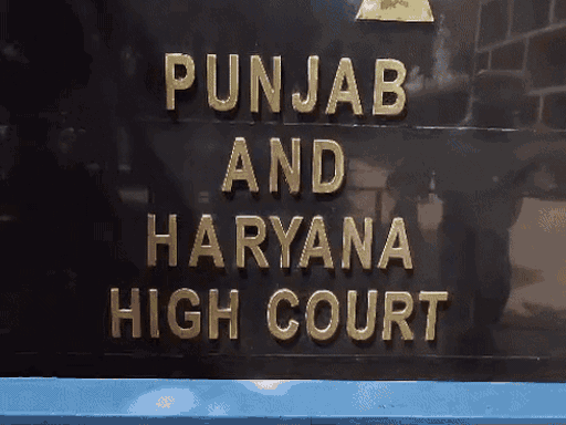 नगर निगम चुनाव: अलग सुनवाई तक होईकोर्ट की रोक:पंचकूला-अंबाला-सोनीपत में बढ़ेगा इंतजार, वीपीपैट व वार्डबंदी पर कांग्रेस को आपत्ति