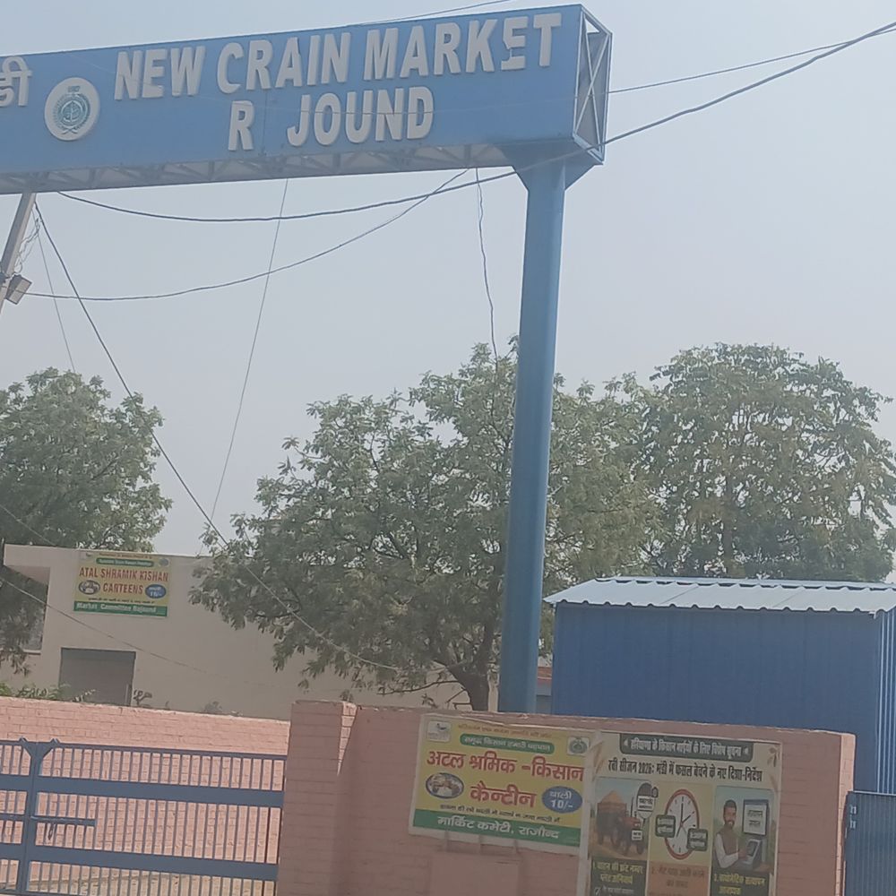 कैथल की राजौंद अनाज मंडी में गेहूं की आवक बंद:मार्केट कमेटी के केंद्रों पर 6.83 लाख क्विंटल गेहूं पहुंचा, 76% उठान पूरा