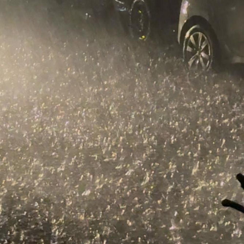 बेतिया में तेज आंधी-बारिश, गर्मी से मिली राहत:बिजली आपूर्ति बाधित,पेड़ों की टहनियां टूटीं; कई घरों के छप्पर उड़े