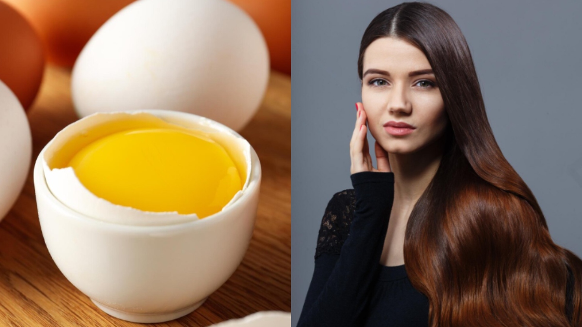 बालों पर अंडा कैसे लगाएं, जिससे दूर हो जाएगा रूखापन, रेशमी हो जाएंगे बाल