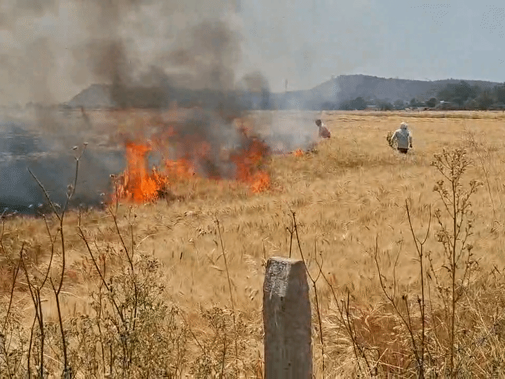 खड़ी फसल में आग, 50 एकड़ में लगा गेहूं खाक:रायसेन में फायर ब्रिगेड का पानी हुआ खत्म, 25 से ज्यादा ट्रैक्टर चलाए तब पाया काबू