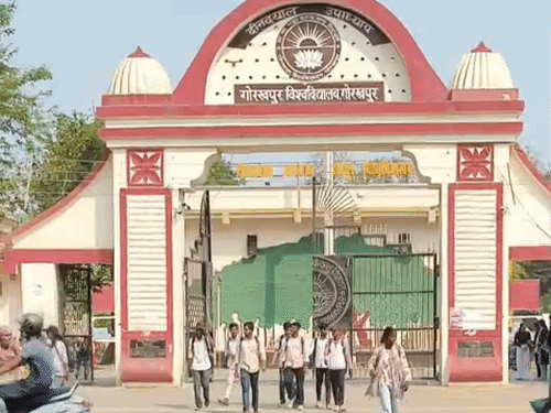 DDU में PHD एडमिशन के लिए इंटरव्यू आज से:ऑफिशियल वेबसाइट से पूरी जानकारी लें कैंडिडेट्स, 27 अप्रैल तक होगा आयोजन