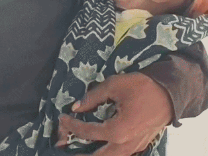 MP में 4 महीने की बच्ची की कुपोषण से मौत:रीवा में जुड़वां भाई की हालत गंभीर; सुपरवाइजर-आंगनवाड़ी कार्यकर्ता को नोटिस; झोलाछाप का क्लिनिक सील