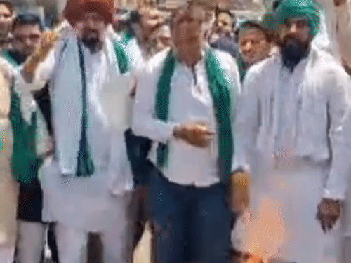 हापुड़ में किसानों ने ट्रंप के बयान का विरोध किया:भाकियू लोकहित ने पुतला फूंका, SDM को ज्ञापन सौंपा