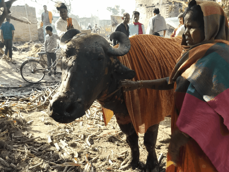 चनपटिया में 36 परिवारों के घर पूरी तरह जलकर राख:मवेशी, वाहन और लाखों की संपत्ति जलकर राख