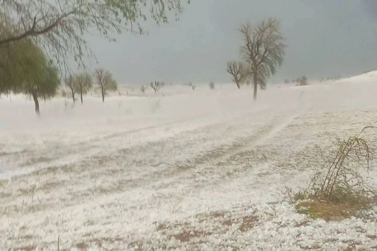 IMD Warning: मौसम विभाग का सुबह से 10 वां अलर्ट, अब पूरी रात 13 जिलों में होगी तेज बारिश, गिर सकते हैं ओले