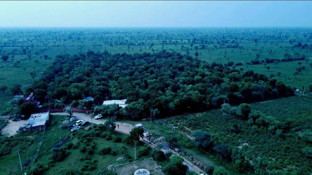 रेगिस्तानी माटी की पुकार: नागौर में पर्यावरण संरक्षण व हरित भविष्य की ओर बढ़ते कदम